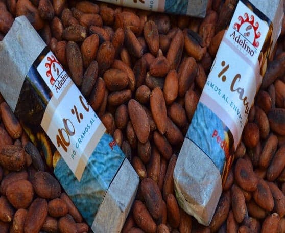 Chocolate Obscuro, Barra de 90 gramos